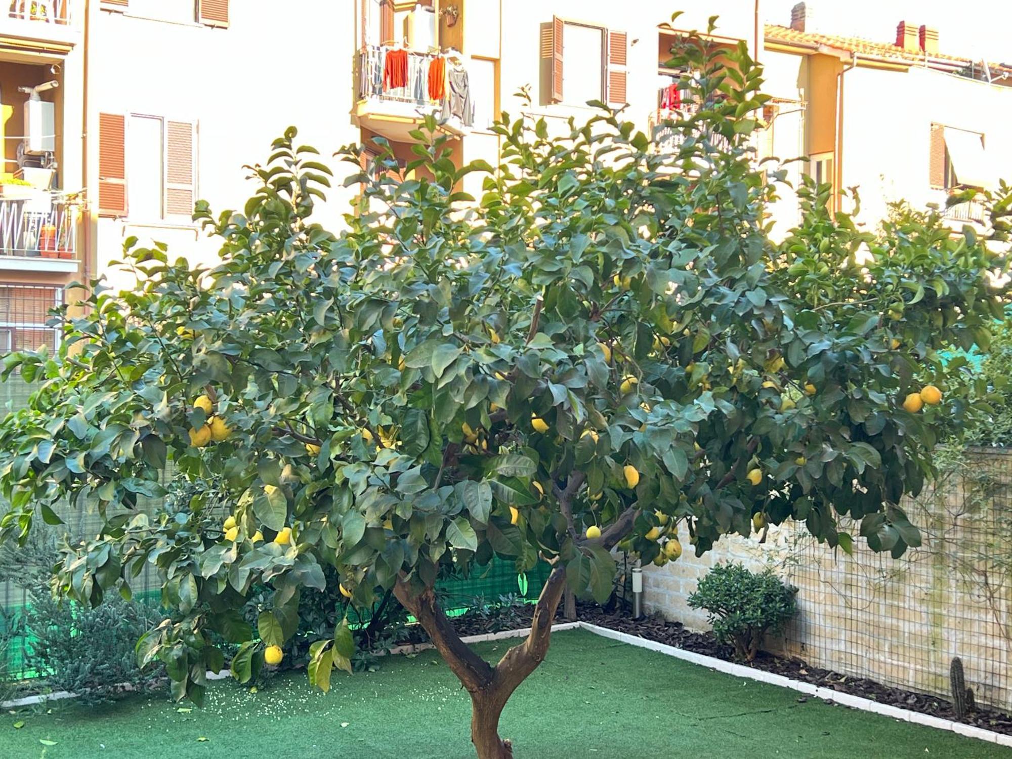 Casa Paestum. Your Wonderful Garden In Rome Exterior photo